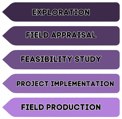 Field Development - Hamza Consultant