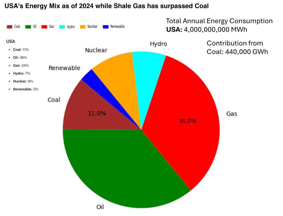 USA's Energy Mix as of 2024